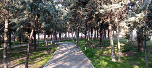 عکس بوستان تندرستی میانی