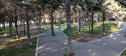 عکس بوستان تندرستی میانی