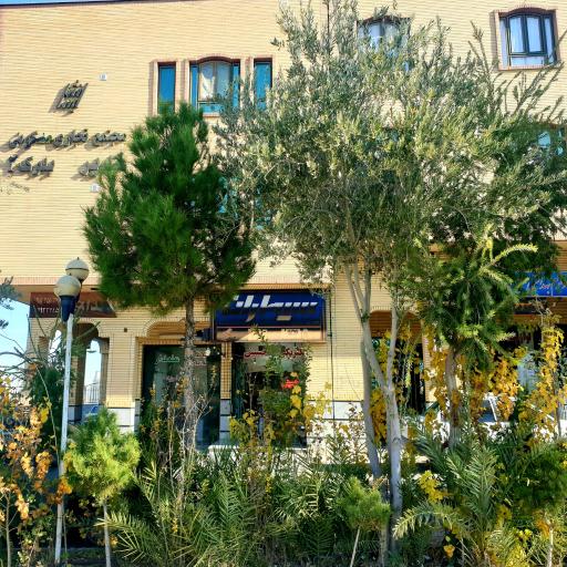 عکس الکتریکی حسینی