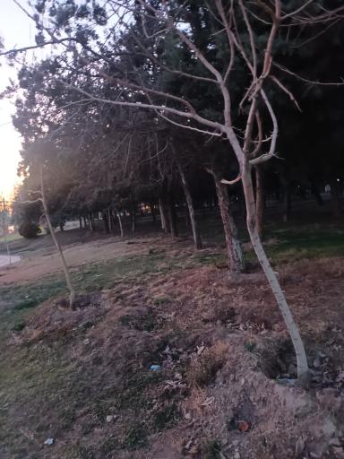 عکس بوستان تندرستی میانی