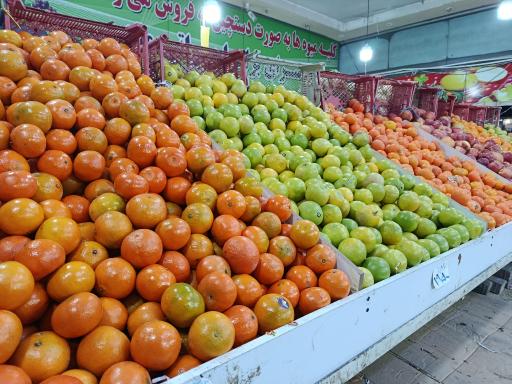 عکس میوه سرا براتی مقدم