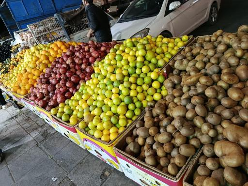 عکس میوه سرا براتی مقدم