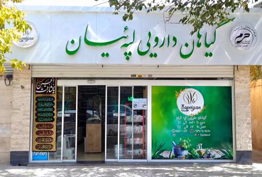 عکس گیاهان دارویی لپه ئیان