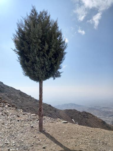 عکس قله سیاه کوه