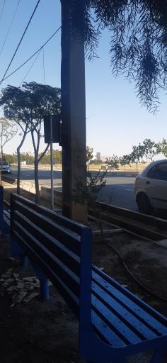 عکس باغ سبز