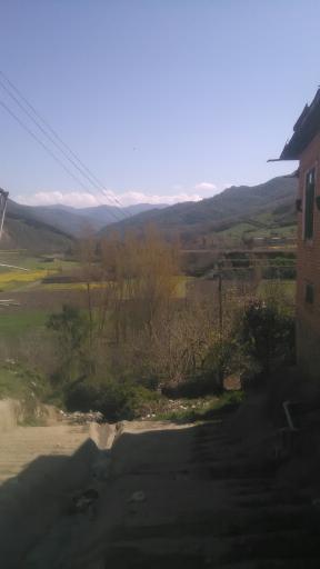 عکس پس پشته