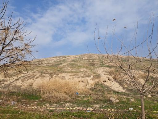 عکس تپه ی باستانی چغابل