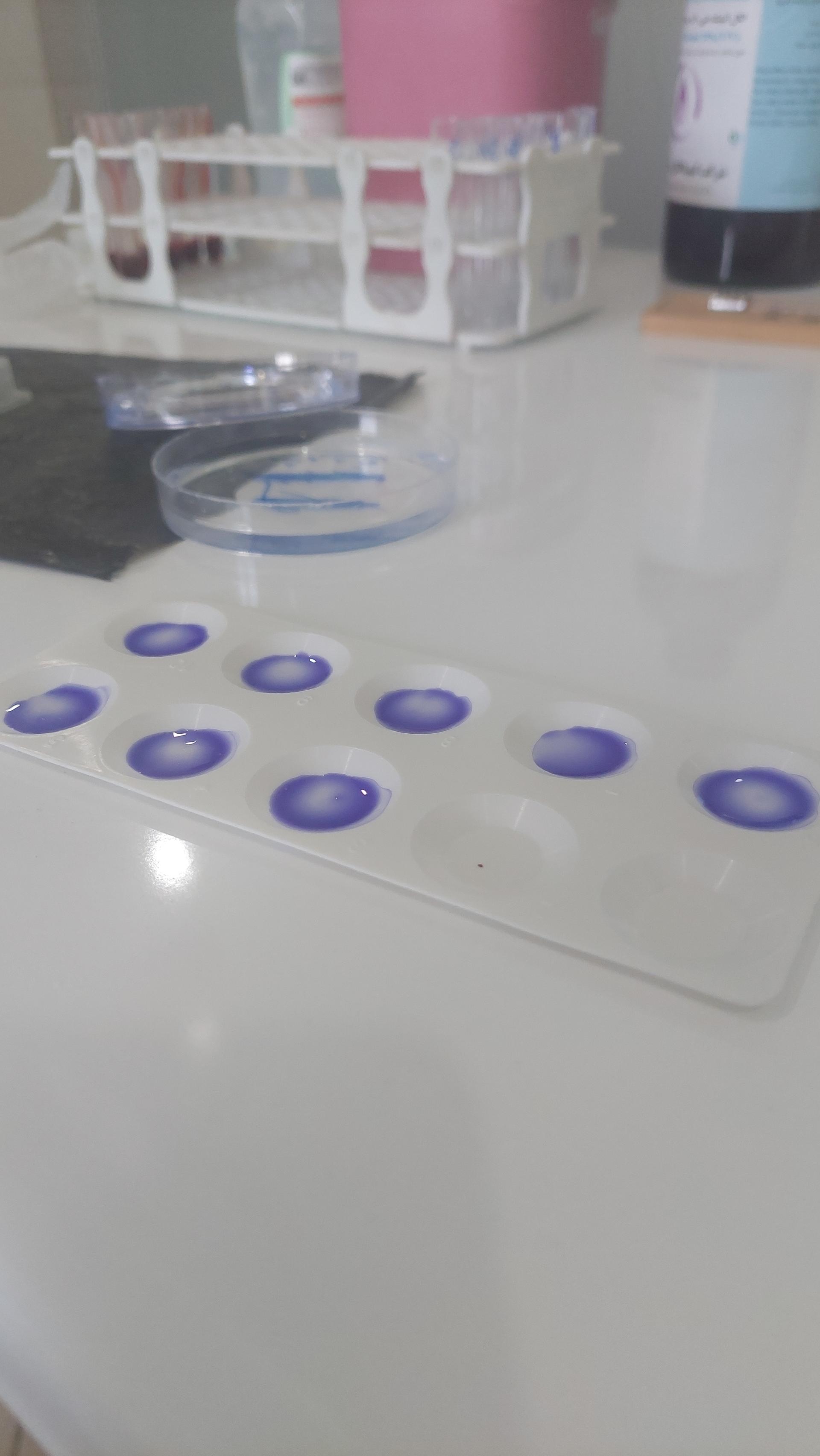 عکس آزمایشگاه دامپزشکی دکتر شموسی