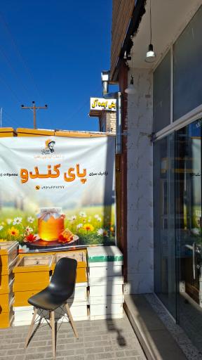 عکس ارگانیک سرای پای کندو