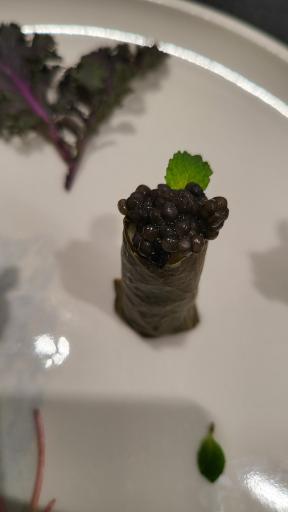 عکس رستوران دولمز