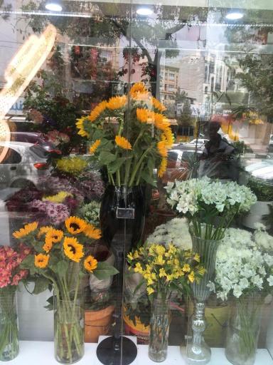 عکس گل پرشین