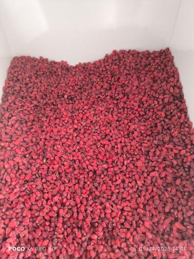 عکس لبنیات و بستنی سنتی گامارو لبن