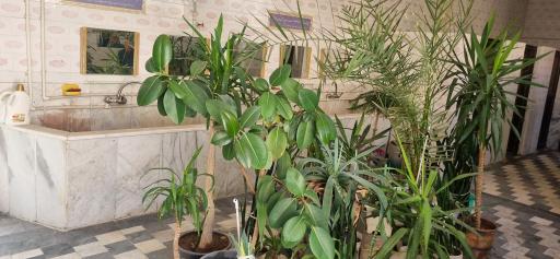 عکس مسجد نظیروندی