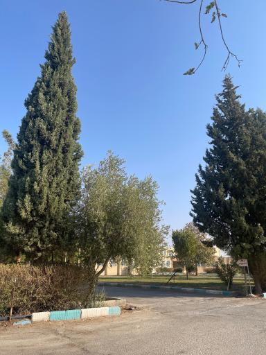 عکس آموزشکده فنی کشاورزی امین خاتم