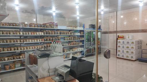 عکس بنکداری گل محمدی 