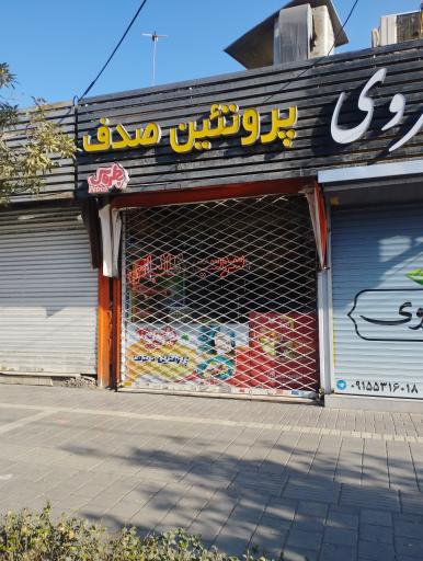 عکس پروتئین صدف