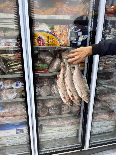 آقای پروتئین