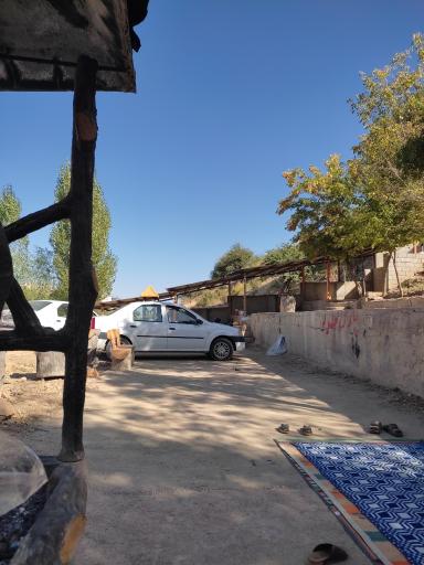 عکس پارک جنگلی 