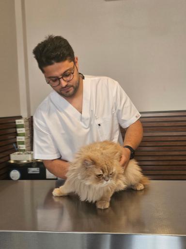 عکس کلینیک تخصصی دامپزشکی دکتر بهزاد شفیعی