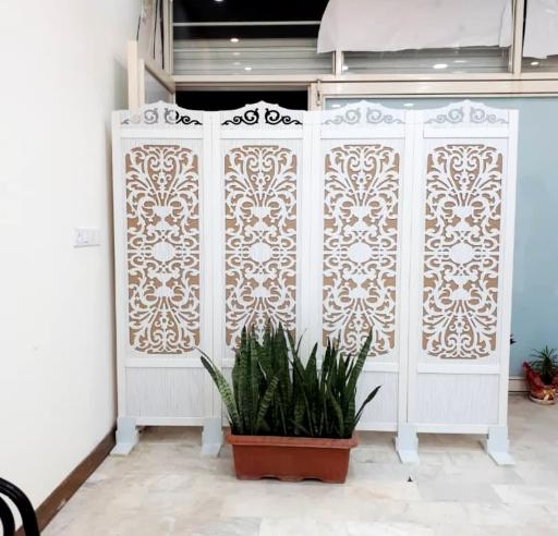 عکس مهد پاراوان