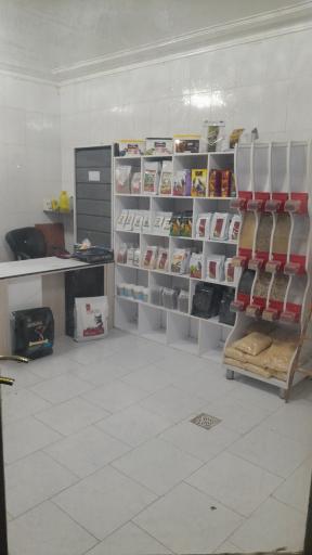 عکس فروشگاه پرندگان زینتی پروت کینگ