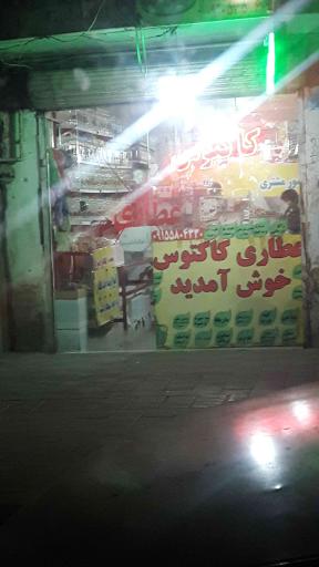 عکس عطاری کاکتوس