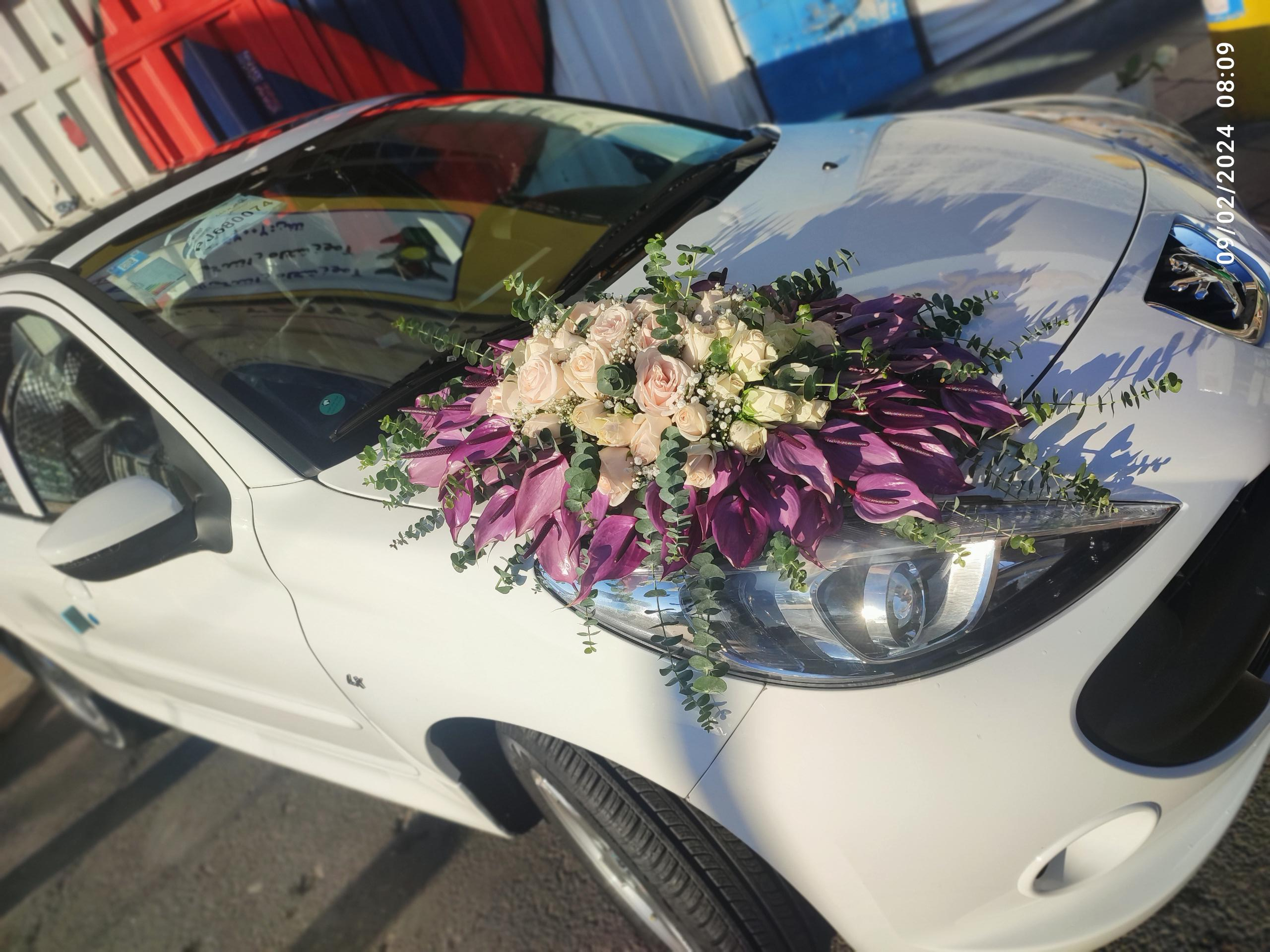 عکس گل پاییزه