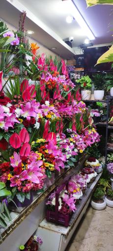 عکس گل سرای عرفان