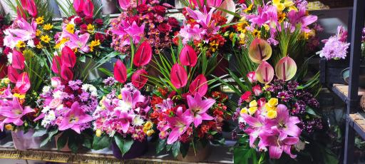 عکس گل سرای عرفان