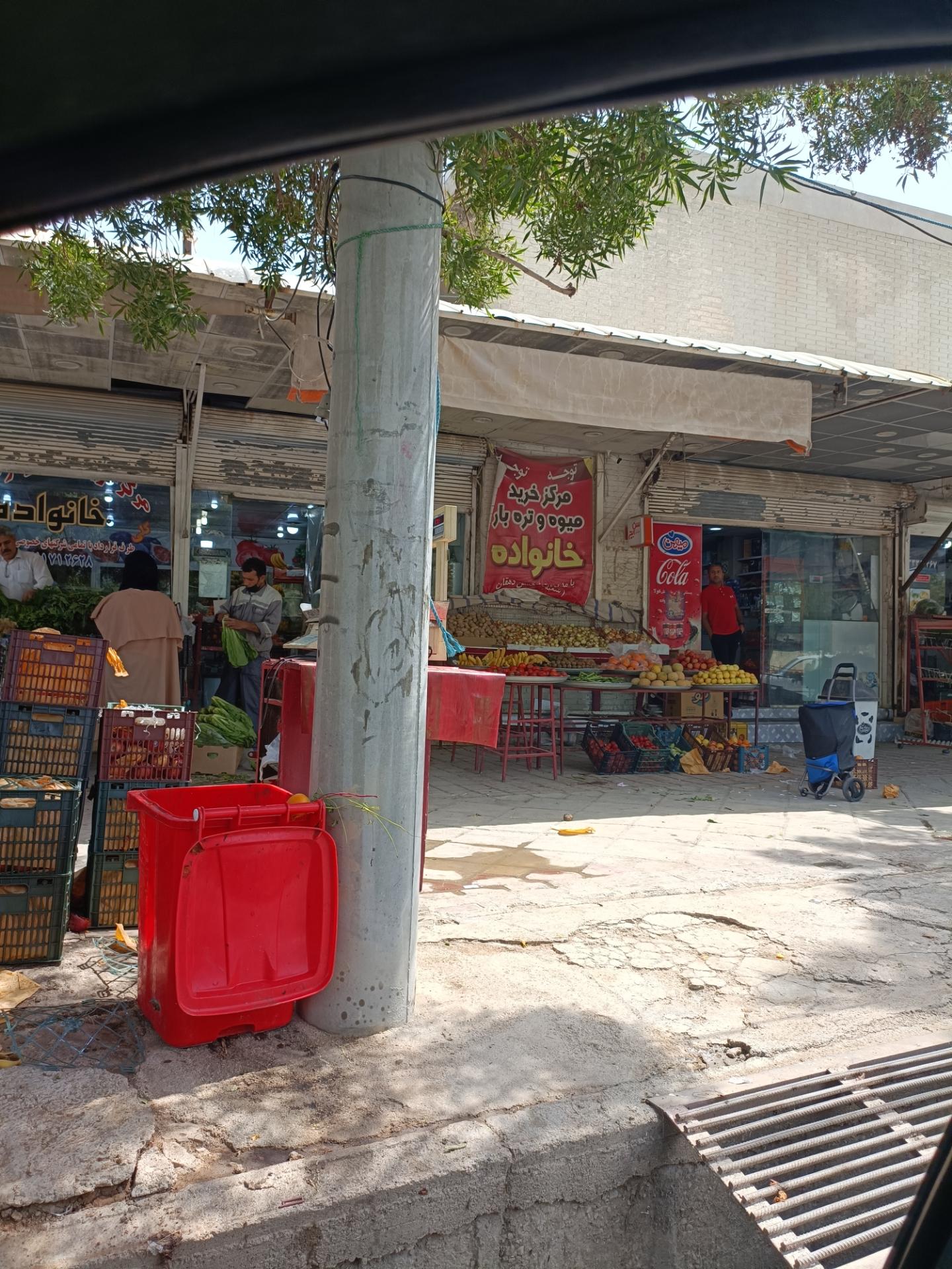 عکس میوه و تره بار خانواده