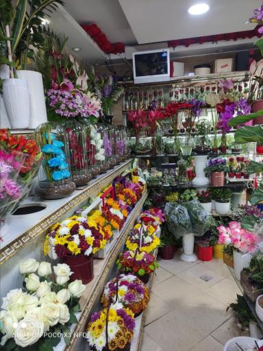 عکس گل سرای عرفان