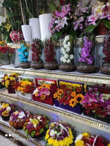 عکس گل سرای عرفان