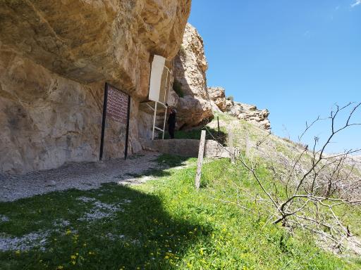 عکس گل گل علیا