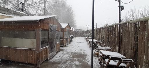 عکس جگرسرای هیگادو