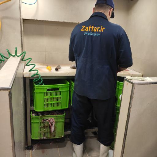 عکس سوپر پروتئین و مرغ ظفر