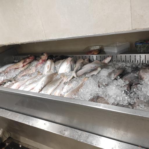 عکس سوپر پروتئین و مرغ ظفر