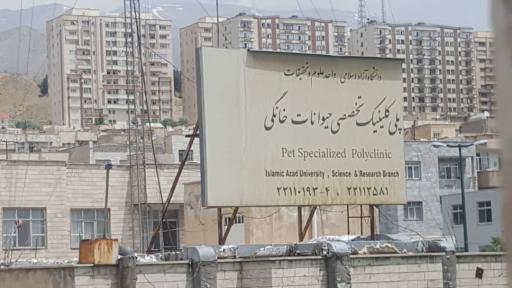 عکس بیمارستان تخصصی دامپزشکی دانش