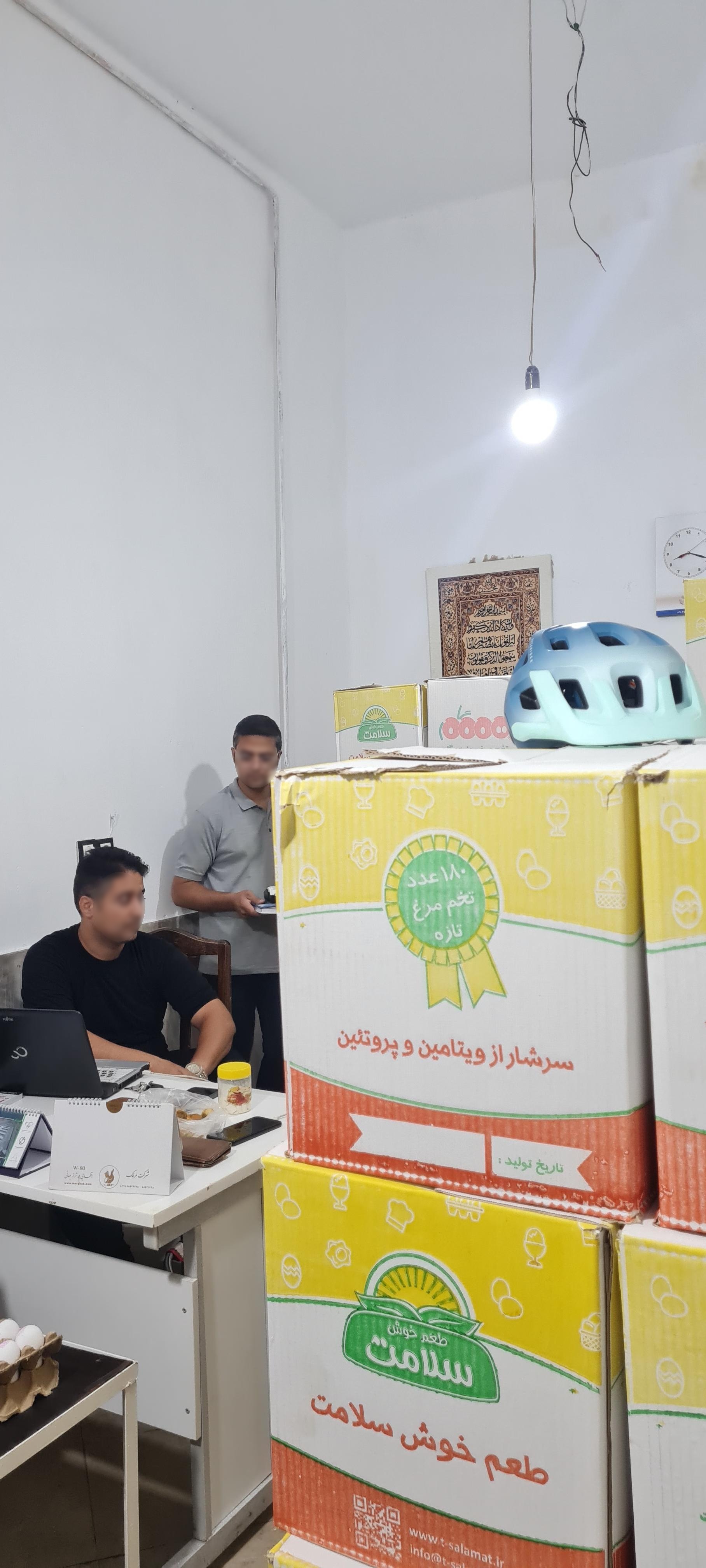 عکس پخش تخم مرغ عسگری