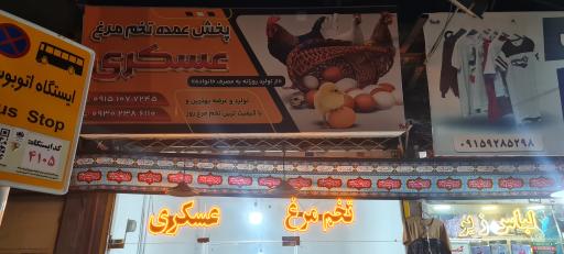 عکس پخش تخم مرغ عسگری