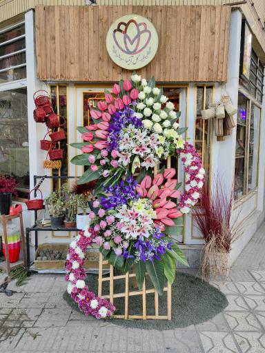 عکس گل آنیسا