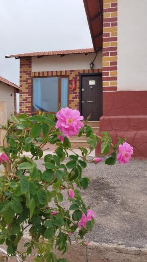 عکس هتل ویلایی گلها (کندیمیز سابق)