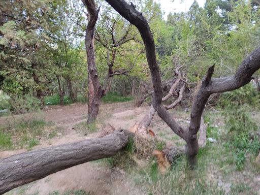 عکس پارک شهدا