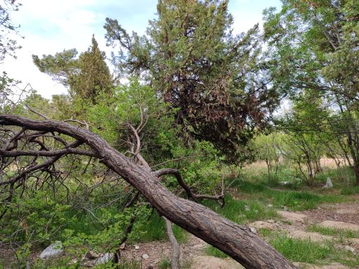 عکس پارک شهدا