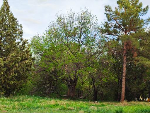 عکس پارک شهدا