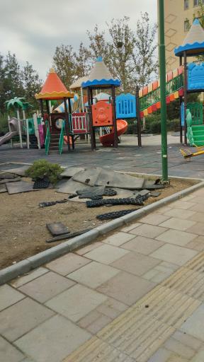 عکس بوستان گلایل