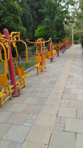 عکس بوستان گلایل