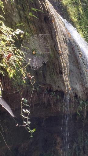 عکس آبشار ترز