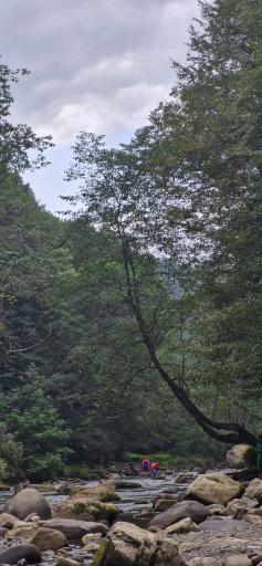 عکس آبشار ترز