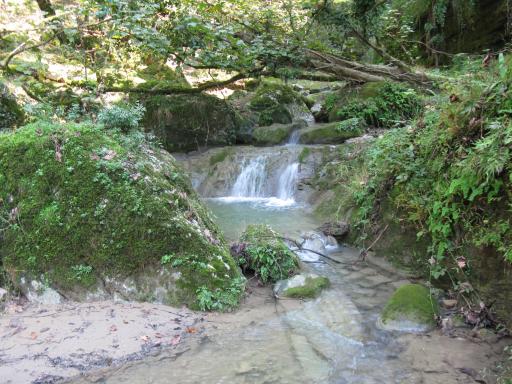 عکس آبشار ترز