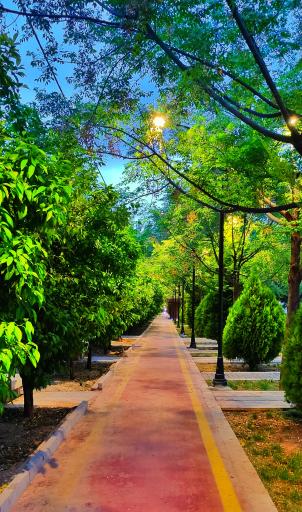 عکس پیاده راه باباکوهی 